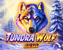 Fire Blaze: Tundra Wolf